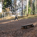 IMG 0443