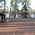 IMG 0457
