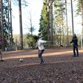 IMG 0473