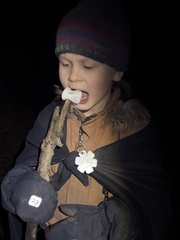 photo 2025-03-16 19-00-34