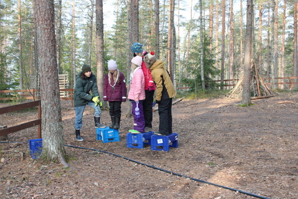 IMG 4245