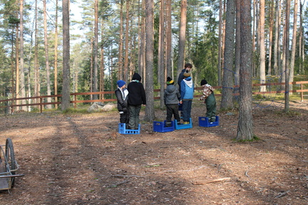 IMG 4243