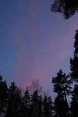 IMG 4223