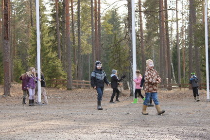 IMG 4167