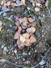 9fd5e56a-ec7b-4284-8eaa-b7e5301df81a~1