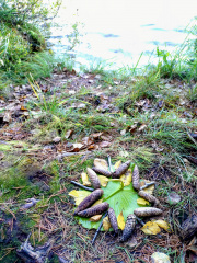 bba4d953-53e6-4103-9ead-70f8d0387cc7~1